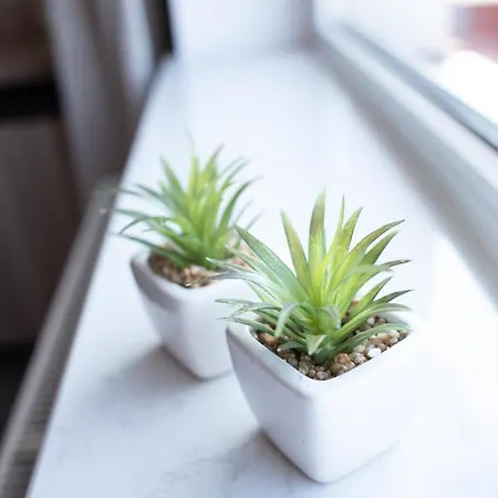 ホームステイ Malgosia *