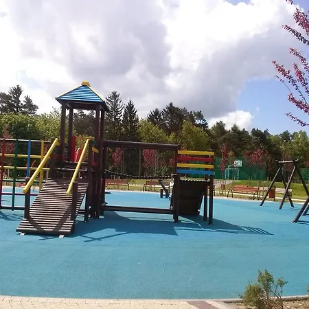 Malgosia ホームステイ *